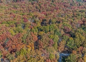 1705 KERNS SCHOOL ROAD, SPRINGFIELD, WV 26763