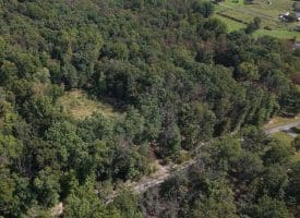 Lot 17 Quaker Lake Trl., Capon Bridge, WV  26711