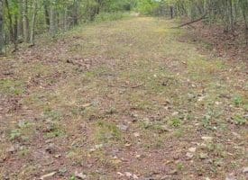 Bear Rd., Delray WV  26714