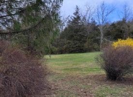 19712 Northwestern Pike, Shanks, WV  26761