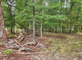 Lot 17 Quaker Lake Trl., Capon Bridge, WV  26711