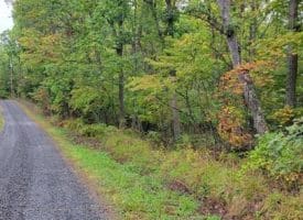 Hawks Way, Delray, WV  26714
