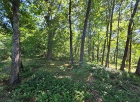 Lot 75 Hunters Ridge Trl., Moorefield, WV  26836