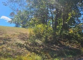 Parcel A Dawn View Dr., Fort Ashby, WV  26719
