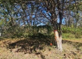 Parcel B Dawn View Dr., Fort Ashby, WV  26719