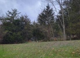 19712 Northwestern Pike, Shanks, WV  26761