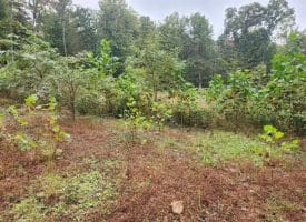 Lot 17 Quaker Lake Trl., Capon Bridge, WV  26711