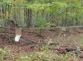 Bear Rd., Delray WV  26714