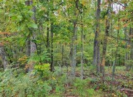 Hawks Way, Delray, WV  26714
