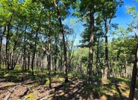 Lot 75 Hunters Ridge Trl., Moorefield, WV  26836
