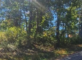 Parcel A Dawn View Dr., Fort Ashby, WV  26719