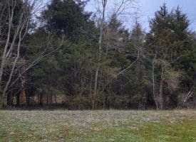 19712 Northwestern Pike, Shanks, WV  26761
