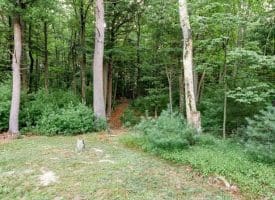 91 Cary Ct., Capon Bridge, WV  26711