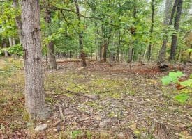 Lot 17 Quaker Lake Trl., Capon Bridge, WV  26711