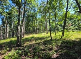 Lot 75 Hunters Ridge Trl., Moorefield, WV  26836