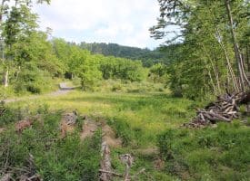 686.10 Acres Thorn Bottom Road, Wardensville, WV 26851