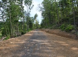 686.10 Acres Thorn Bottom Road, Wardensville, WV 26851