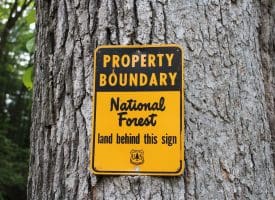 686.10 Acres Thorn Bottom Road, Wardensville, WV 26851