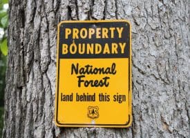 686.10 Acres Thorn Bottom Road, Wardensville, WV 26851