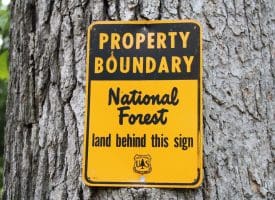 686.10 Acres Thorn Bottom Road, Wardensville, WV 26851