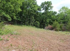 686.10 Acres Thorn Bottom Road, Wardensville, WV 26851