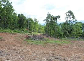 686.10 Acres Thorn Bottom Road, Wardensville, WV 26851