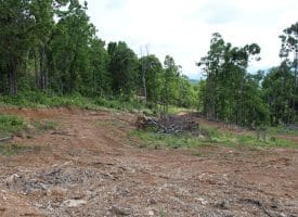686.10 Acres Thorn Bottom Road, Wardensville, WV 26851