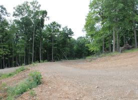 686.10 Acres Thorn Bottom Road, Wardensville, WV 26851