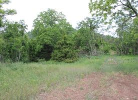 686.10 Acres Thorn Bottom Road, Wardensville, WV 26851