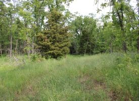 686.10 Acres Thorn Bottom Road, Wardensville, WV 26851