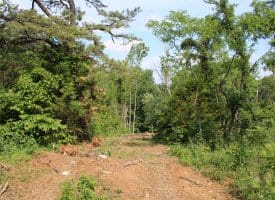 686.10 Acres Thorn Bottom Road, Wardensville, WV 26851