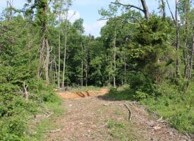 686.10 Acres Thorn Bottom Road, Wardensville, WV 26851
