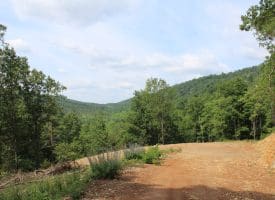 686.10 Acres Thorn Bottom Road, Wardensville, WV 26851