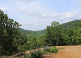 686.10 Acres Thorn Bottom Road, Wardensville, WV 26851