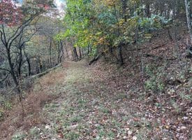49.76 Acres Dans Run Road, Springfield, WV 26763