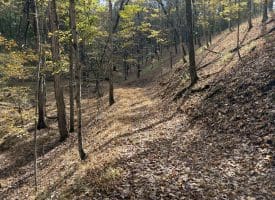 49.76 Acres Dans Run Road, Springfield, WV 26763