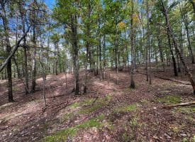 49.76 Acres Dans Run Road, Springfield, WV 26763