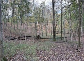 49.76 Acres Dans Run Road, Springfield, WV 26763