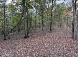 49.76 Acres Dans Run Road, Springfield, WV 26763