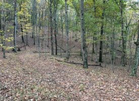49.76 Acres Dans Run Road, Springfield, WV 26763