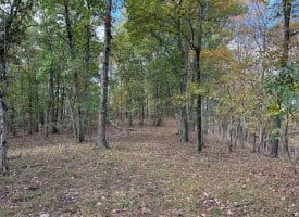 49.76 Acres Dans Run Road, Springfield, WV 26763
