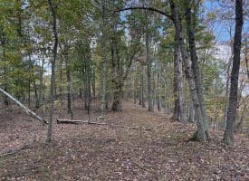 49.76 Acres Dans Run Road, Springfield, WV 26763