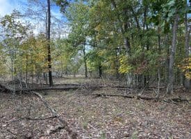 49.76 Acres Dans Run Road, Springfield, WV 26763