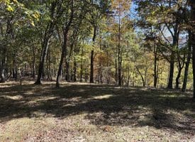68.79 Ac Harness Run Road, Burlington, WV 26710