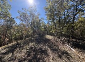68.79 Ac Harness Run Road, Burlington, WV 26710
