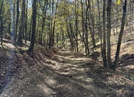 68.79 Ac Harness Run Road, Burlington, WV 26710