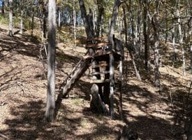 68.79 Ac Harness Run Road, Burlington, WV 26710