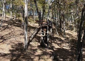 68.79 Ac Harness Run Road, Burlington, WV 26710