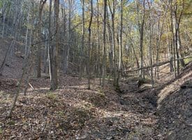 68.79 Ac Harness Run Road, Burlington, WV 26710