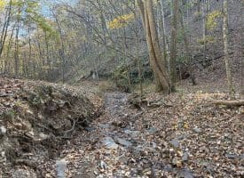 68.79 Ac Harness Run Road, Burlington, WV 26710